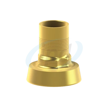 BTI® External Hex Titán bázis Elfordulásgátolt Ø 5,5 H 1.6