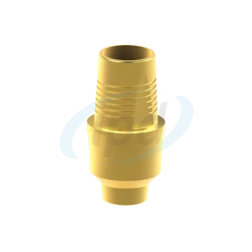 BioHorizons® Tapered Internal® Egyedi Titán bázis Elfordulásgátlás nélküli Ø 3,5 H 2.5