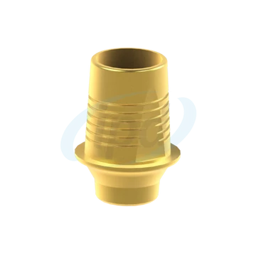 BioHorizons® Tapered Internal® Egyedi Titán bázis Elfordulásgátlás nélküli Ø 3,0 H 1.0