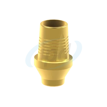 BioHorizons® Tapered Internal® Egyedi Titán bázis Elfordulásgátlás nélküli Ø 3,0 H 2.0