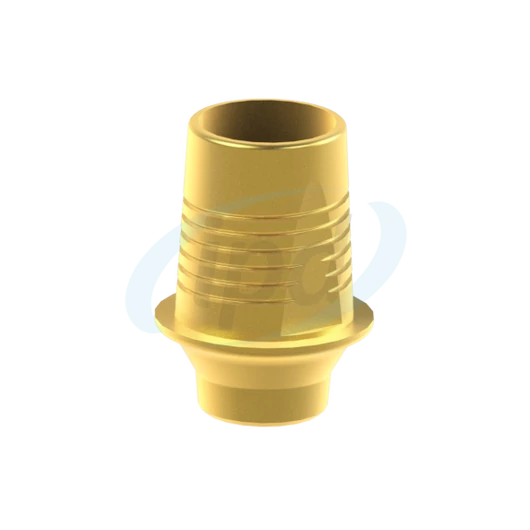BioHorizons® Tapered Internal® Egyedi Titán bázis Elfordulásgátlás nélküli Ø 3,0 H 1.0